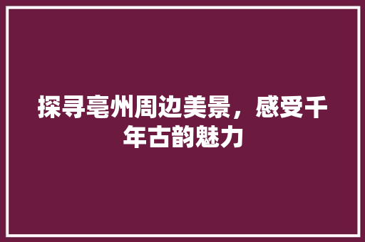 探寻亳州周边美景，感受千年古韵魅力