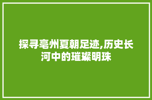 探寻亳州夏朝足迹,历史长河中的璀璨明珠