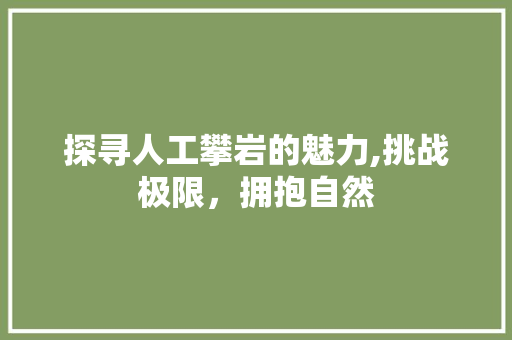 探寻人工攀岩的魅力,挑战极限，拥抱自然