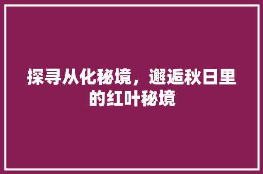 探寻从化秘境，邂逅秋日里的红叶秘境