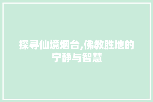 探寻仙境烟台,佛教胜地的宁静与智慧