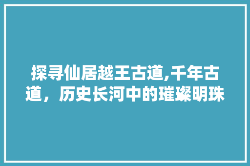 探寻仙居越王古道,千年古道，历史长河中的璀璨明珠