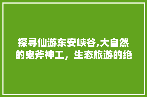 探寻仙游东安峡谷,大自然的鬼斧神工，生态旅游的绝佳胜地