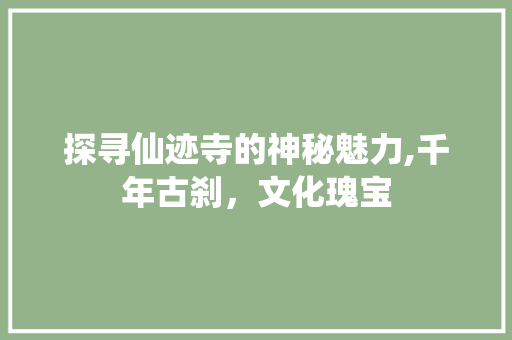 探寻仙迹寺的神秘魅力,千年古刹，文化瑰宝