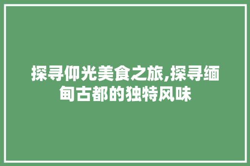 探寻仰光美食之旅,探寻缅甸古都的独特风味