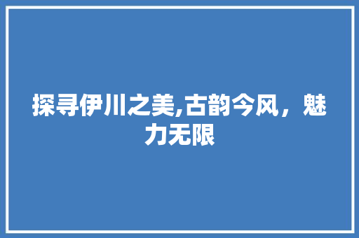 探寻伊川之美,古韵今风，魅力无限