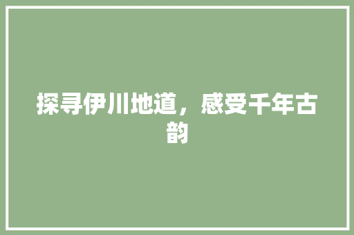 探寻伊川地道，感受千年古韵  第1张