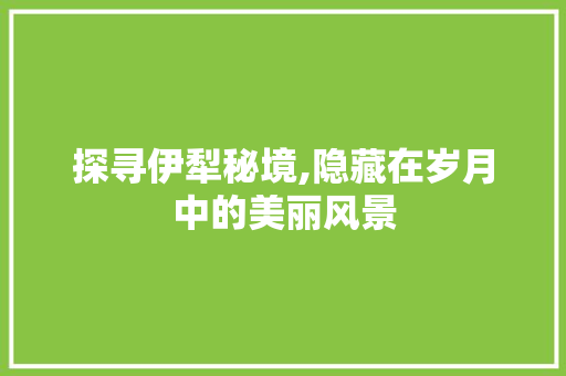 探寻伊犁秘境,隐藏在岁月中的美丽风景