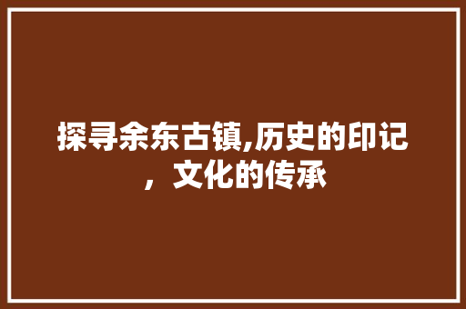 探寻余东古镇,历史的印记，文化的传承