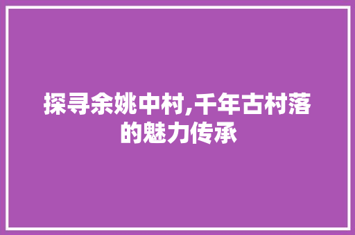 探寻余姚中村,千年古村落的魅力传承