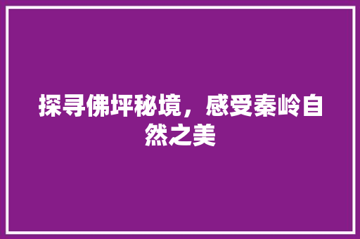 探寻佛坪秘境，感受秦岭自然之美