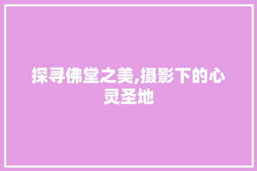 探寻佛堂之美,摄影下的心灵圣地