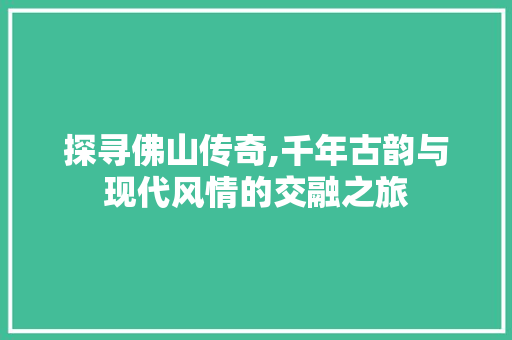 探寻佛山传奇,千年古韵与现代风情的交融之旅