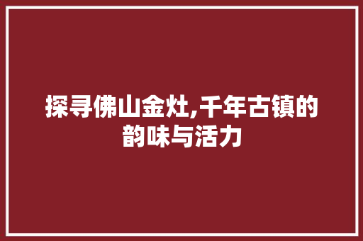 探寻佛山金灶,千年古镇的韵味与活力