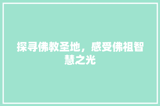 探寻佛教圣地，感受佛祖智慧之光