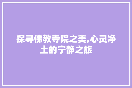 探寻佛教寺院之美,心灵净土的宁静之旅