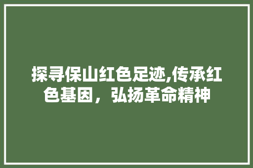 探寻保山红色足迹,传承红色基因，弘扬革命精神