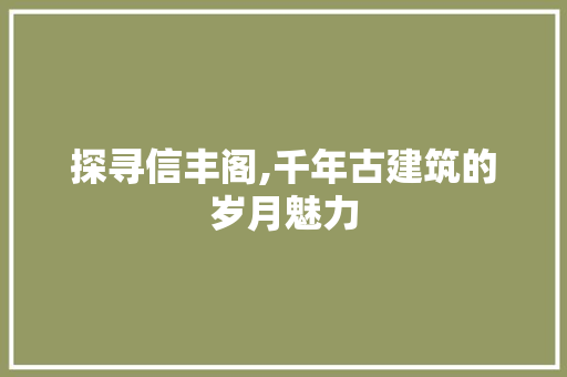 探寻信丰阁,千年古建筑的岁月魅力