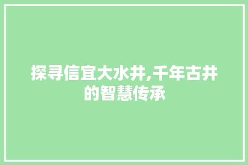 探寻信宜大水井,千年古井的智慧传承