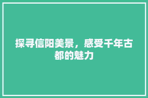 探寻信阳美景，感受千年古都的魅力