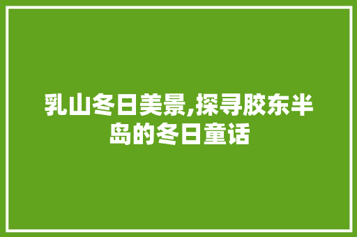 乳山冬日美景,探寻胶东半岛的冬日童话