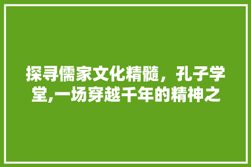 探寻儒家文化精髓，孔子学堂,一场穿越千年的精神之旅