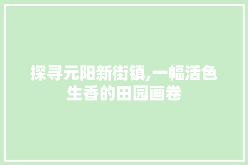 探寻元阳新街镇,一幅活色生香的田园画卷