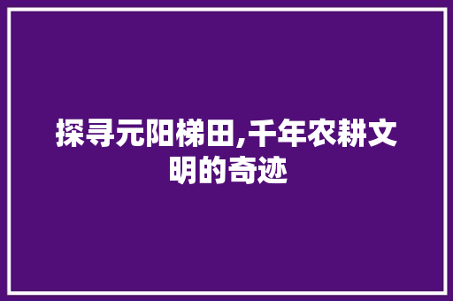 探寻元阳梯田,千年农耕文明的奇迹