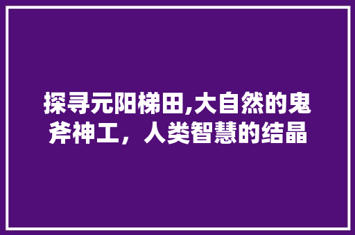 探寻元阳梯田,大自然的鬼斧神工，人类智慧的结晶