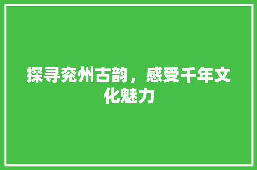 探寻兖州古韵，感受千年文化魅力