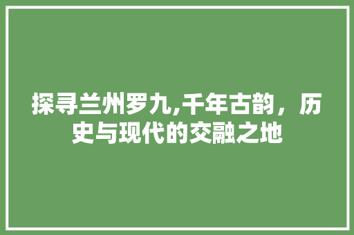 探寻兰州罗九,千年古韵，历史与现代的交融之地