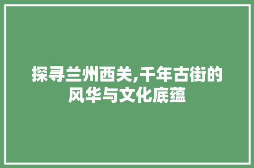 探寻兰州西关,千年古街的风华与文化底蕴