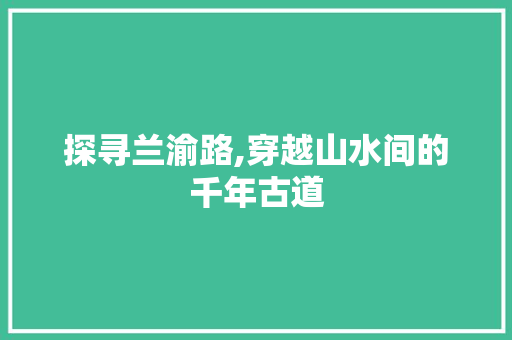 探寻兰渝路,穿越山水间的千年古道