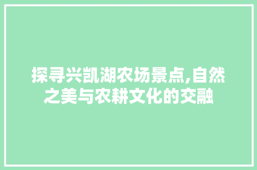 探寻兴凯湖农场景点,自然之美与农耕文化的交融