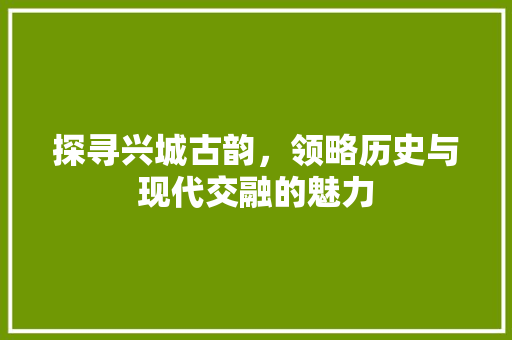 探寻兴城古韵，领略历史与现代交融的魅力