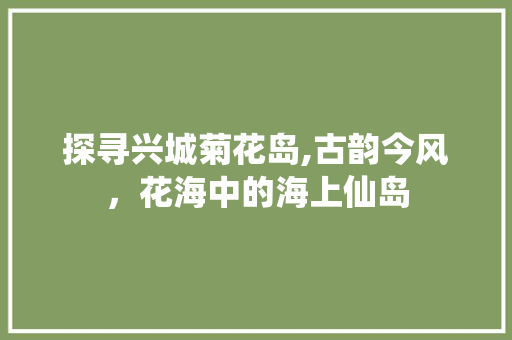 探寻兴城菊花岛,古韵今风，花海中的海上仙岛