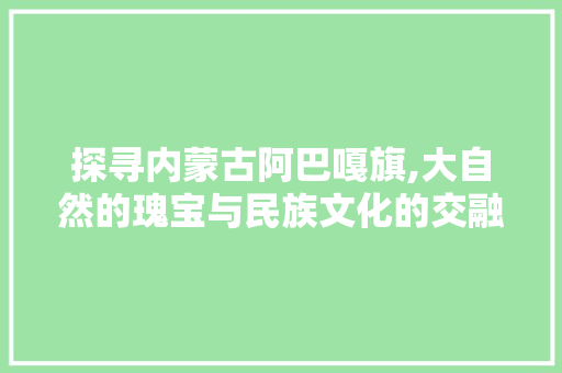 探寻内蒙古阿巴嘎旗,大自然的瑰宝与民族文化的交融