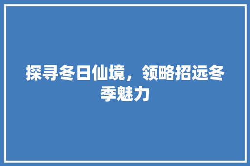 探寻冬日仙境，领略招远冬季魅力