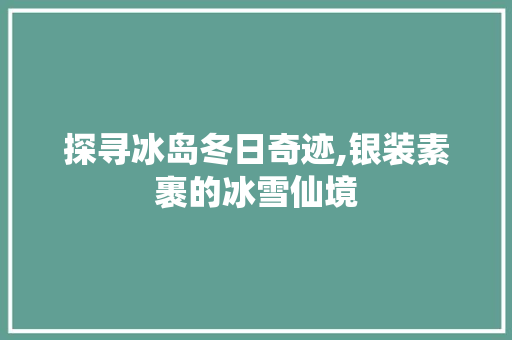 探寻冰岛冬日奇迹,银装素裹的冰雪仙境