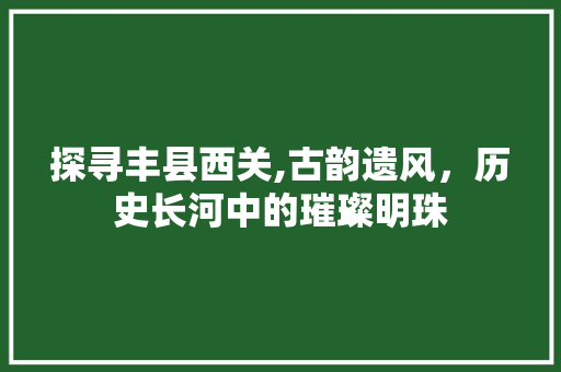 探寻丰县西关,古韵遗风，历史长河中的璀璨明珠