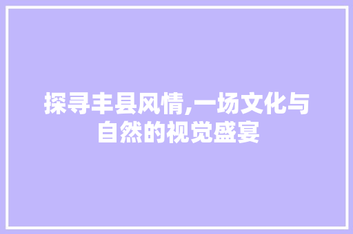 探寻丰县风情,一场文化与自然的视觉盛宴