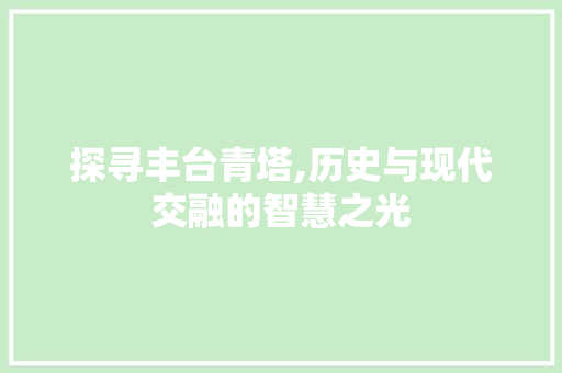 探寻丰台青塔,历史与现代交融的智慧之光  第1张