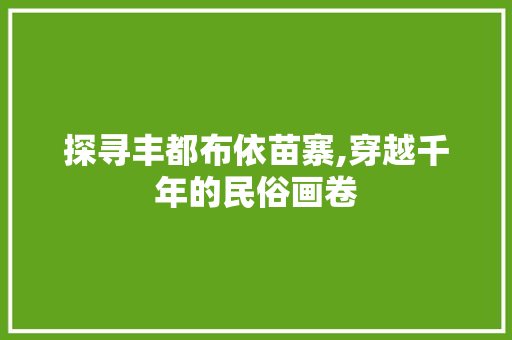 探寻丰都布依苗寨,穿越千年的民俗画卷