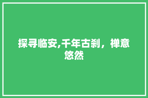 探寻临安,千年古刹，禅意悠然