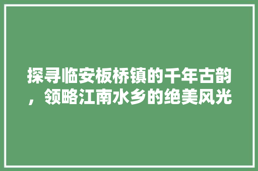 探寻临安板桥镇的千年古韵，领略江南水乡的绝美风光