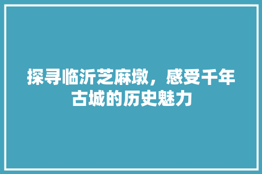 探寻临沂芝麻墩，感受千年古城的历史魅力