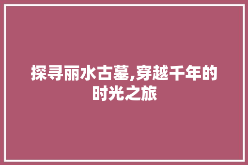 探寻丽水古墓,穿越千年的时光之旅