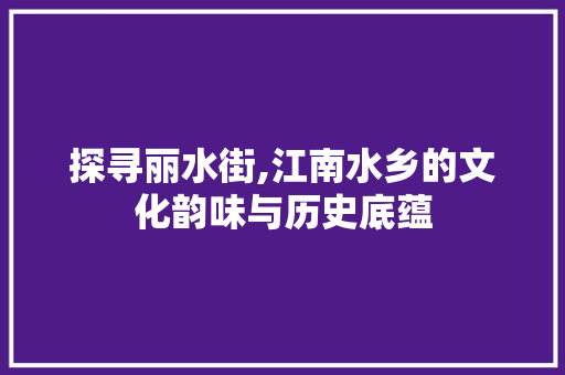 探寻丽水街,江南水乡的文化韵味与历史底蕴