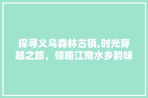 探寻义乌森林古镇,时光穿越之旅，领略江南水乡韵味