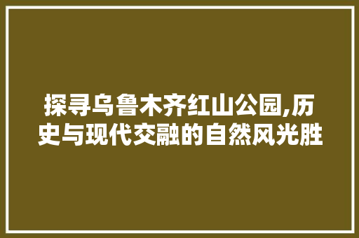 探寻乌鲁木齐红山公园,历史与现代交融的自然风光胜地